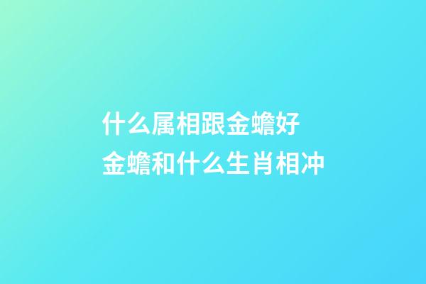 什么属相跟金蟾好 金蟾和什么生肖相冲
